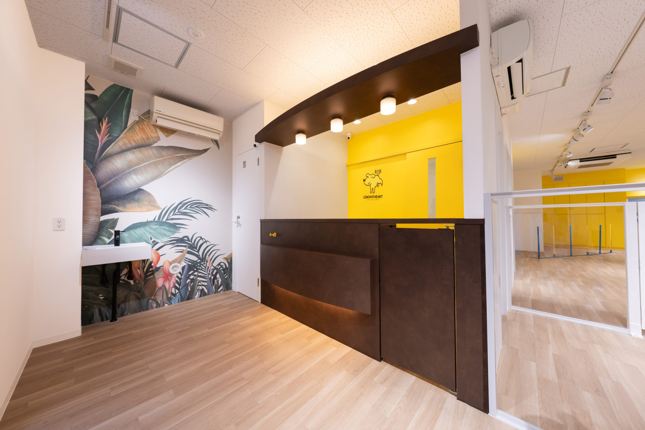 https://lemonheart.dog/wp/wp-content/uploads/2026/08/260716_lemonheart-kyodo_-051-scaled.jpg